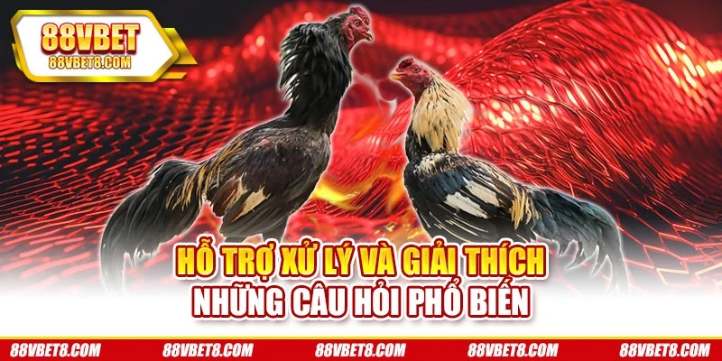 Hỗ trợ xử lý và giải thích những câu hỏi phổ biến app-da-ga-giai-dap-thac-mac Hỗ trợ xử lý và giải thích những câu hỏi phổ biến app-da-ga-giai-dap-thac-mac