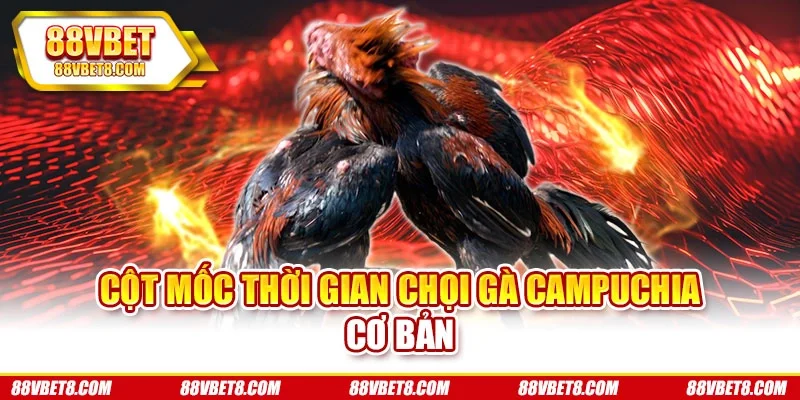 Cột mốc thời gian chọi gà Campuchia cơ bản Cột mốc thời gian chọi gà Campuchia cơ bản